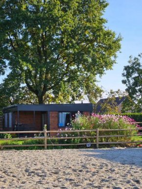 Houten huisje tussen paarden